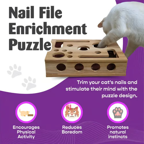 Cat Scratch Puzzle Enrichment Box: Nail File Stress Free Alternative to Clippers and Grinders