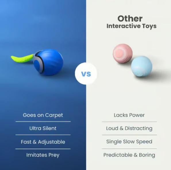 Interactive Electric Rolling Ball with Teasing Tail