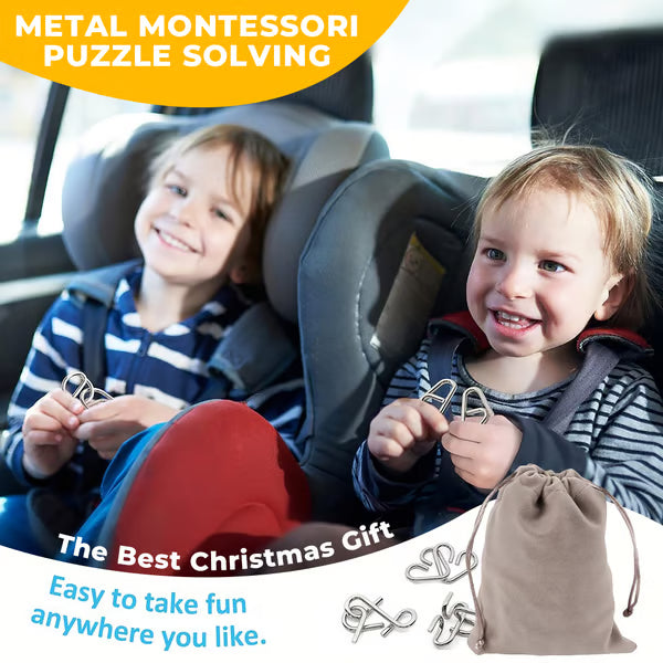 Metal Montessori Puzzle Solving