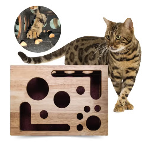 Cat Scratch Puzzle Enrichment Box: Nail File Stress Free Alternative to Clippers and Grinders