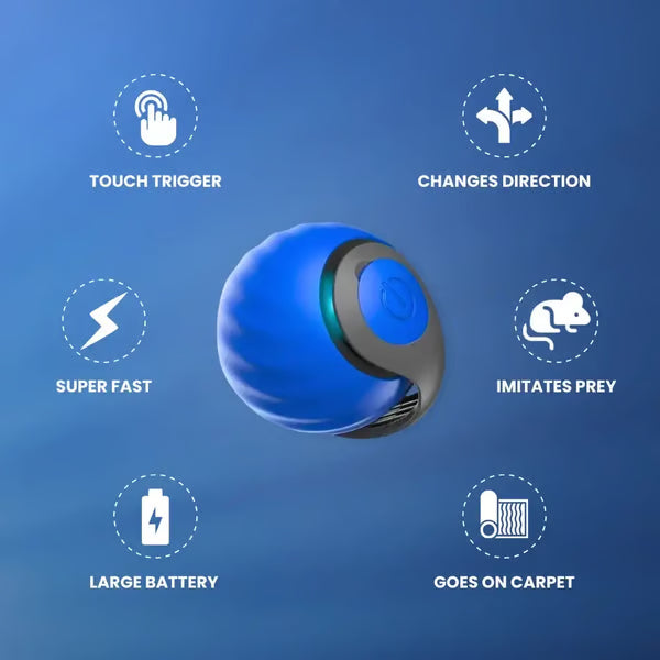 Interactive Electric Rolling Ball with Teasing Tail
