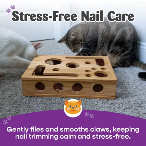 Cat Scratch Puzzle Enrichment Box: Nail File Stress Free Alternative to Clippers and Grinders
